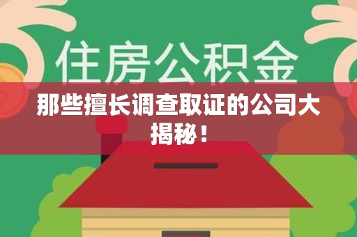 庐山那些擅长调查取证的公司大揭秘！