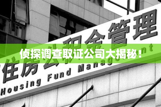 庐山侦探调查取证公司大揭秘！