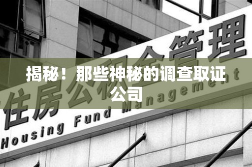 庐山揭秘！那些神秘的调查取证公司