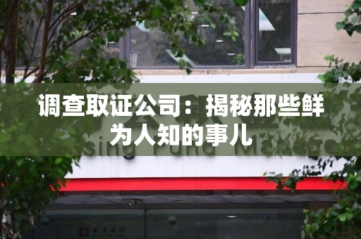 庐山调查取证公司：揭秘那些鲜为人知的事儿