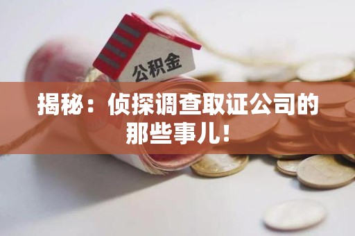 庐山揭秘：侦探调查取证公司的那些事儿！