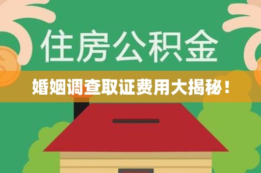 庐山婚姻调查取证费用大揭秘！