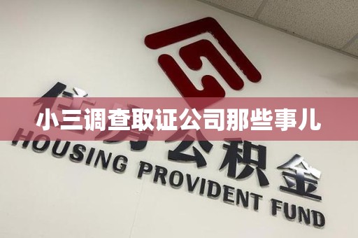 庐山小三调查取证公司那些事儿