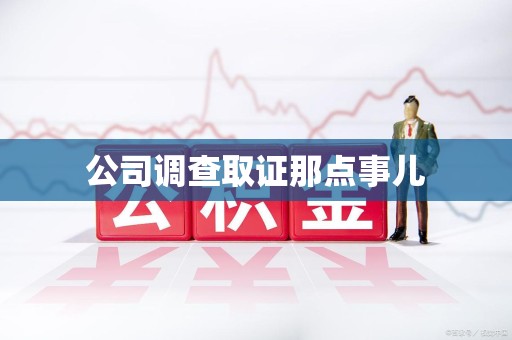 庐山公司调查取证那点事儿