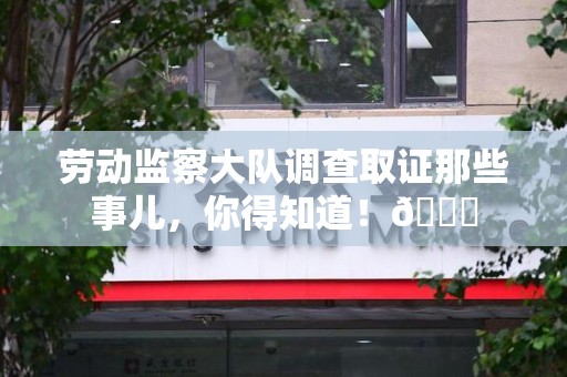 庐山劳动监察大队调查取证那些事儿，你得知道！😎