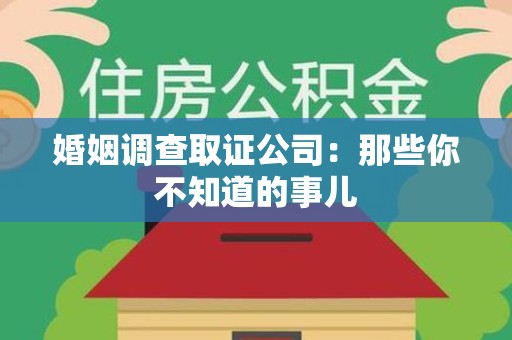庐山婚姻调查取证公司：那些你不知道的事儿