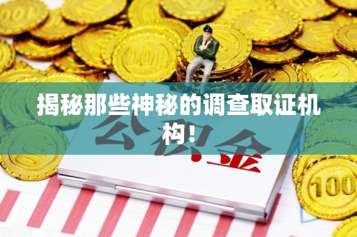 庐山揭秘那些神秘的调查取证机构！