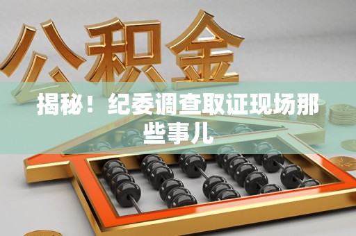 庐山揭秘！纪委调查取证现场那些事儿