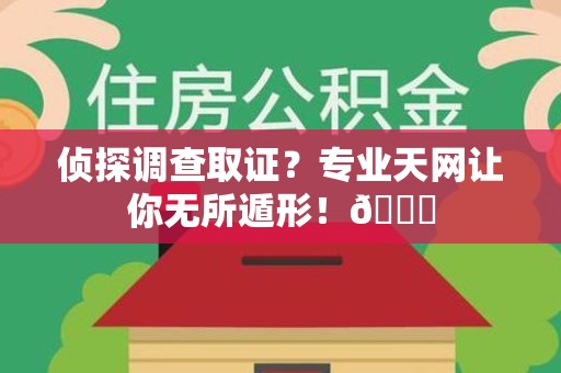 庐山侦探调查取证？专业天网让你无所遁形！😎