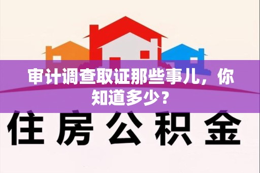 庐山审计调查取证那些事儿，你知道多少？