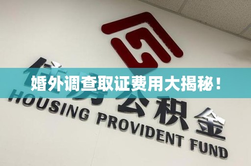 庐山婚外调查取证费用大揭秘！