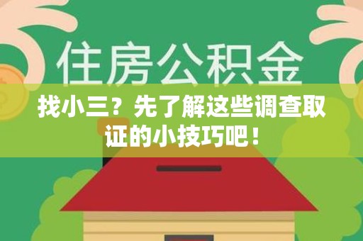 庐山找小三？先了解这些调查取证的小技巧吧！