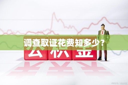 庐山调查取证花费知多少？