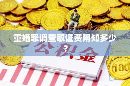 庐山重婚罪调查取证费用知多少？