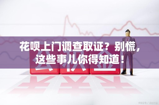 庐山花呗上门调查取证？别慌，这些事儿你得知道！