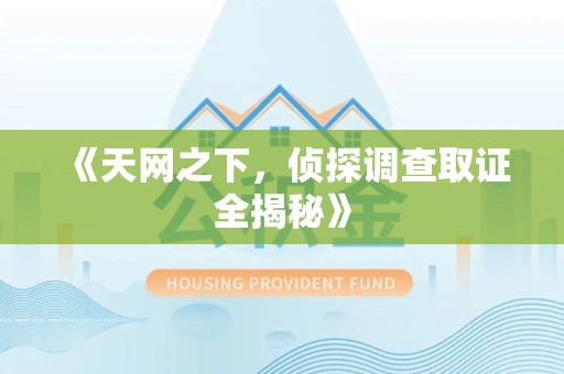 庐山《天网之下，侦探调查取证全揭秘》