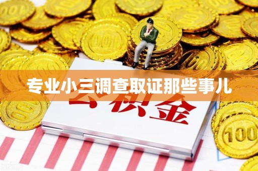 庐山专业小三调查取证那些事儿