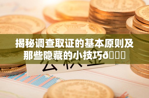庐山揭秘调查取证的基本原则及那些隐藏的小技巧😎