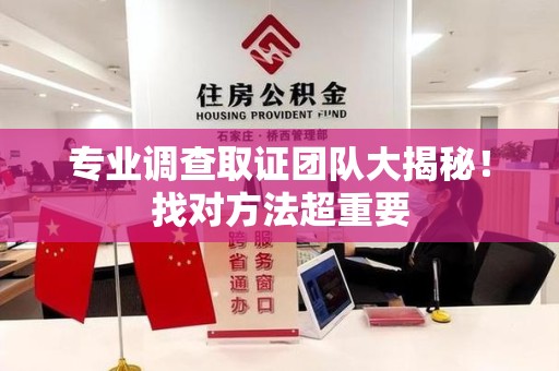 庐山专业调查取证团队大揭秘！找对方法超重要