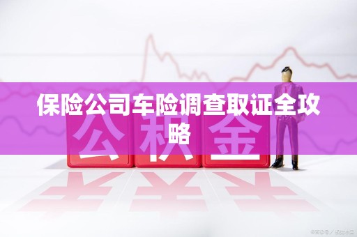 庐山保险公司车险调查取证全攻略