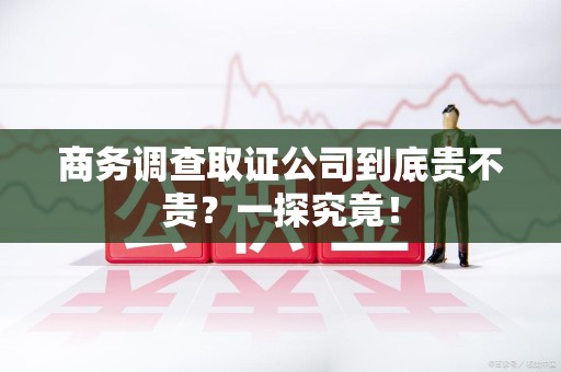 庐山商务调查取证公司到底贵不贵？一探究竟！