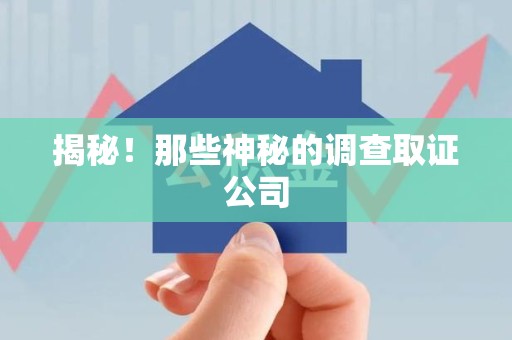 庐山揭秘！那些神秘的调查取证公司