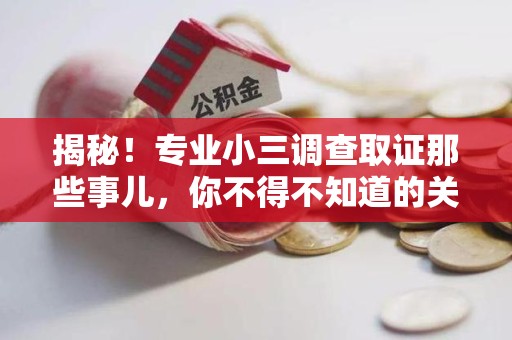 庐山揭秘！专业小三调查取证那些事儿，你不得不知道的关键点