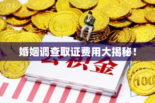 庐山婚姻调查取证费用大揭秘！