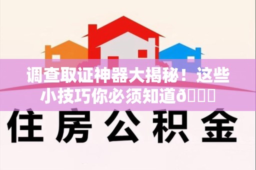 庐山调查取证神器大揭秘！这些小技巧你必须知道😎