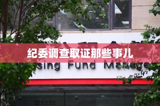 庐山纪委调查取证那些事儿
