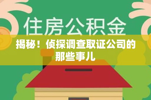 庐山揭秘！侦探调查取证公司的那些事儿