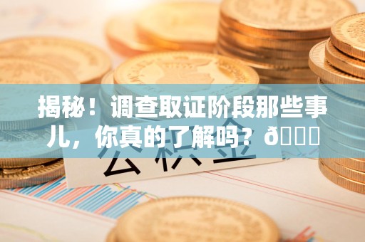 庐山揭秘！调查取证阶段那些事儿，你真的了解吗？😎