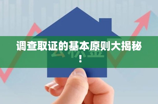 庐山调查取证的基本原则大揭秘！