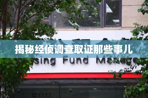 庐山揭秘经侦调查取证那些事儿
