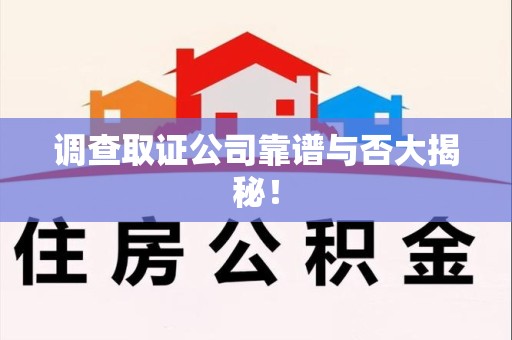 庐山调查取证公司靠谱与否大揭秘！