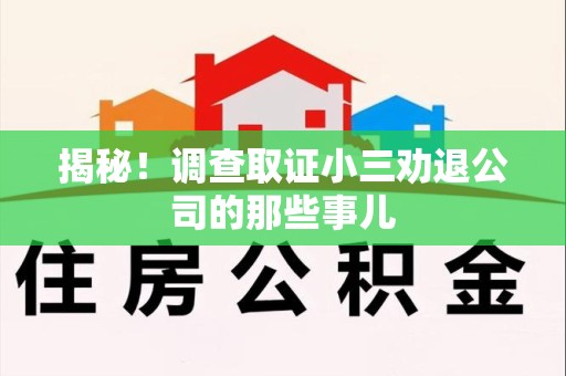 庐山揭秘！调查取证小三劝退公司的那些事儿