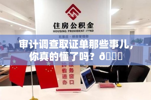 庐山审计调查取证单那些事儿，你真的懂了吗？😎