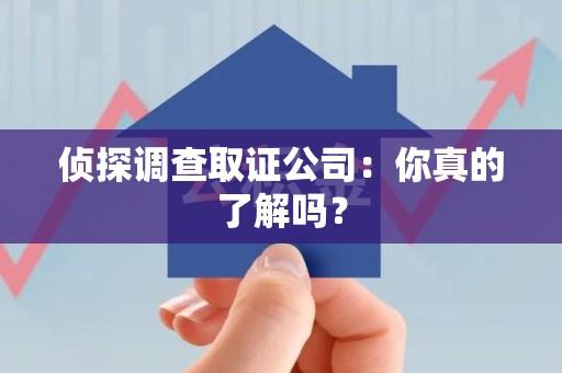 庐山侦探调查取证公司：你真的了解吗？