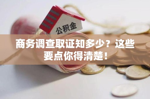 庐山商务调查取证知多少？这些要点你得清楚！