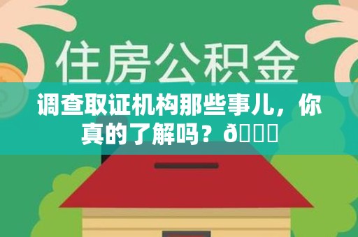 庐山调查取证机构那些事儿，你真的了解吗？😎