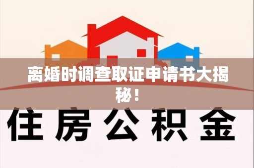 庐山离婚时调查取证申请书大揭秘！