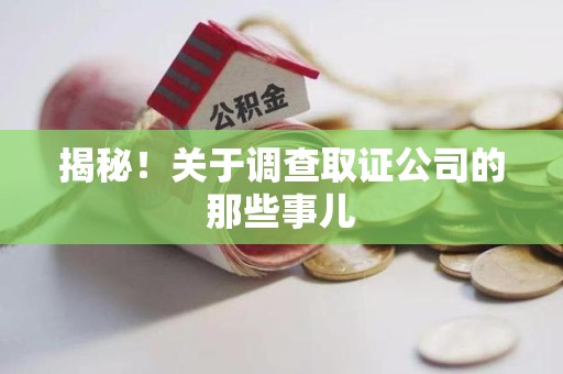 庐山揭秘！关于调查取证公司的那些事儿
